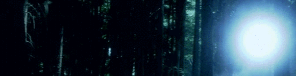 forestpl.gif